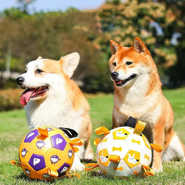 Pets Care